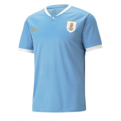 Uruguay Replica Home Shirt World Cup 2022 Short Sleeve